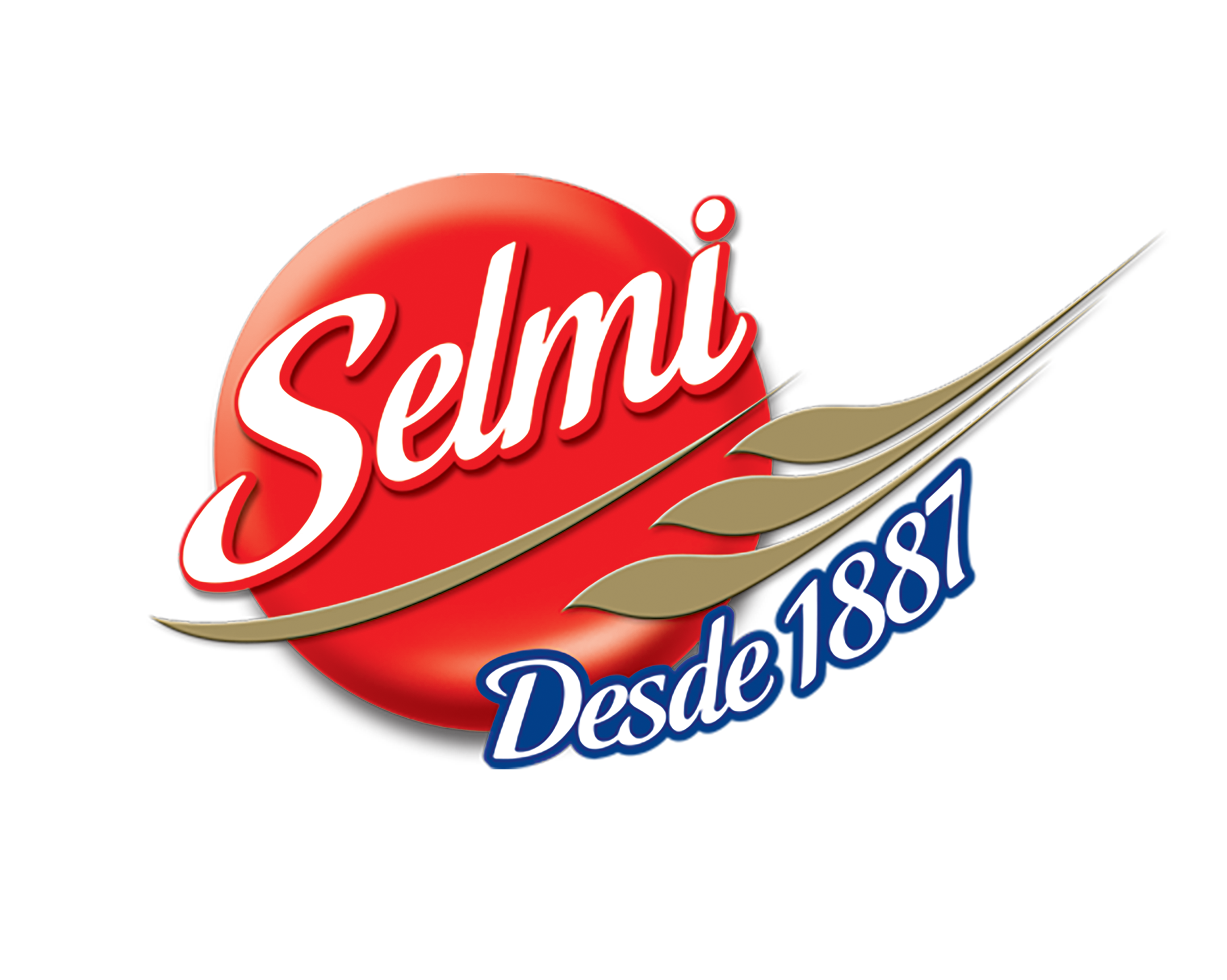 Logo Selmi